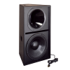 Renkus-Heinz PN/PNX121T/6A ⾧ 2-Way, full range loudspeaker 12" LF, 1" Exit HF - Requires two amp channels, no internal passive X-Over