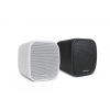 WORK NEO 3 ⾧ 2.5 speaker, 50 W ( 8 Ohms with 120 Hz HPF ) -70/100 V - Pair