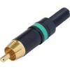 Neutrik NYS373-5 RCA Male Plug Cable, Green Color Ǽ	