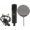 sE Electronics sE2200A MKII Multi-pattern Condenser Microphone